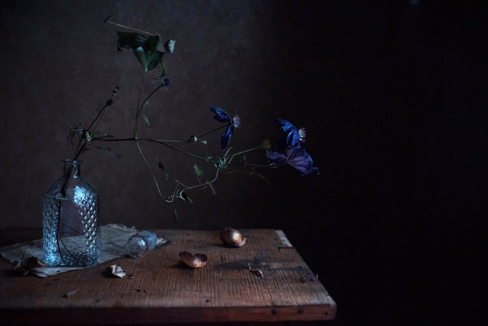 Photograph by Екатерина Дьячкова