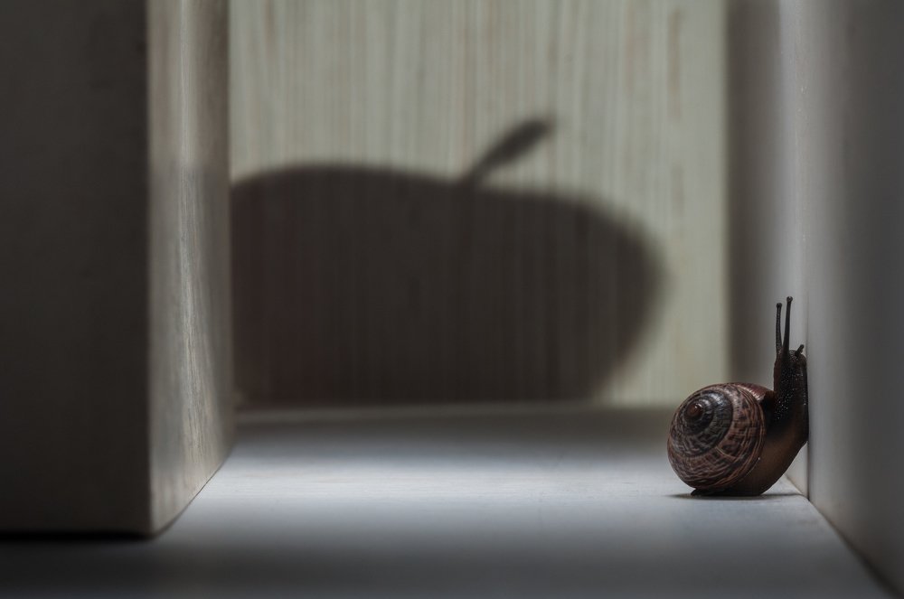 Фотография автора Кирилл Сизов