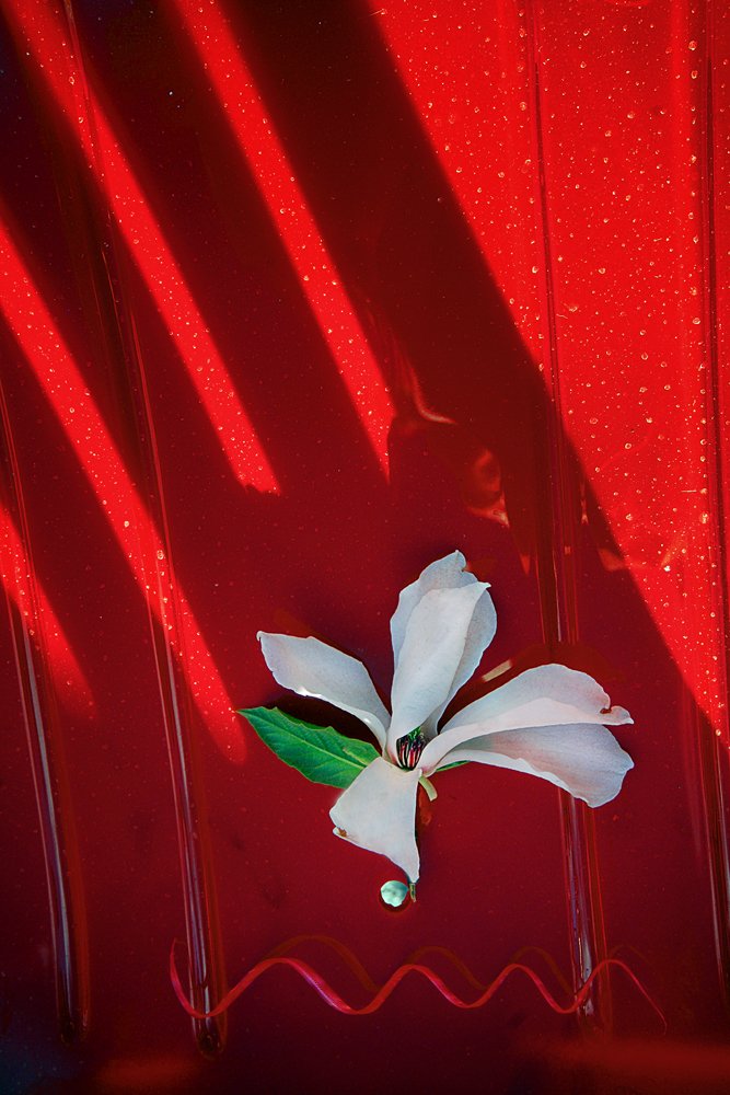 Photograph by muhamed borovic