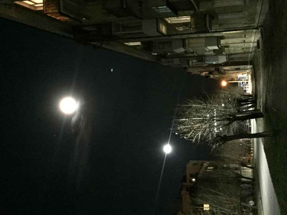 Photograph by Татьяна Гуськова