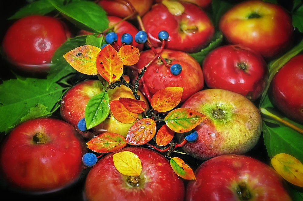 Палитра осени