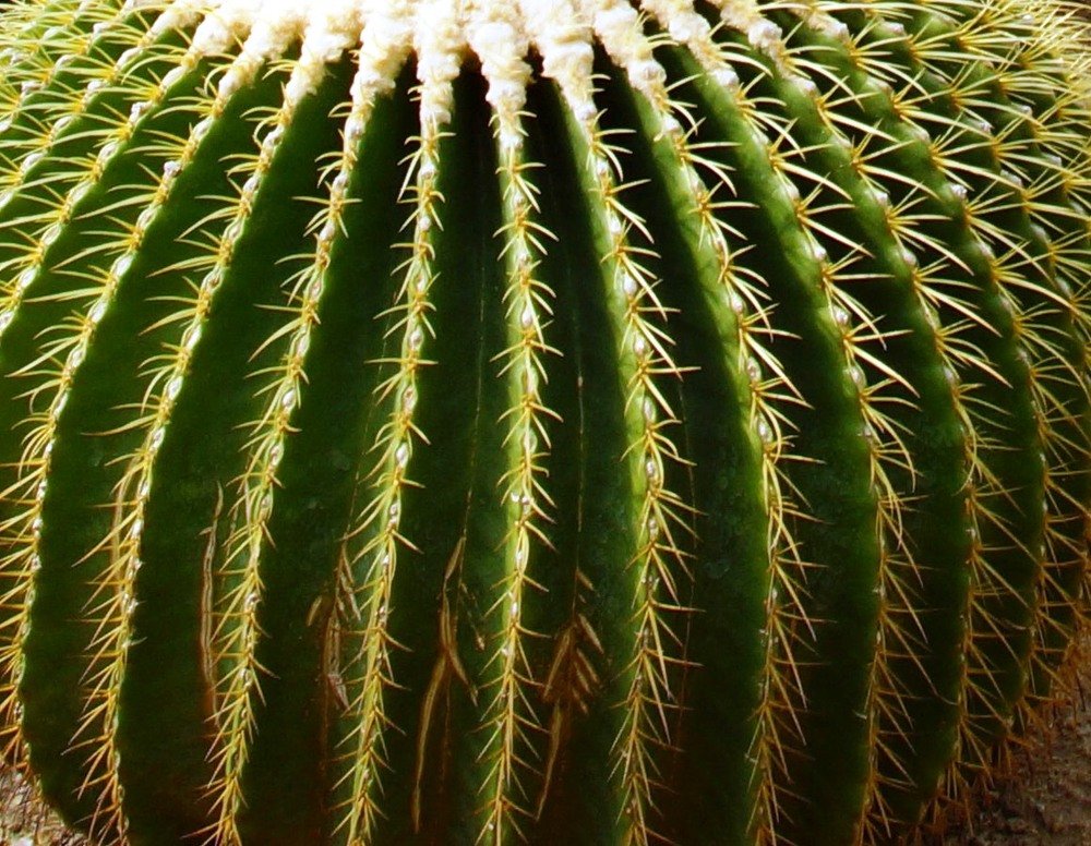 Photograph by Андрей Елькин