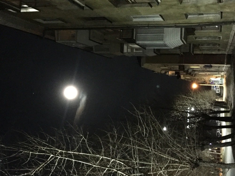 Photograph by Татьяна Гуськова