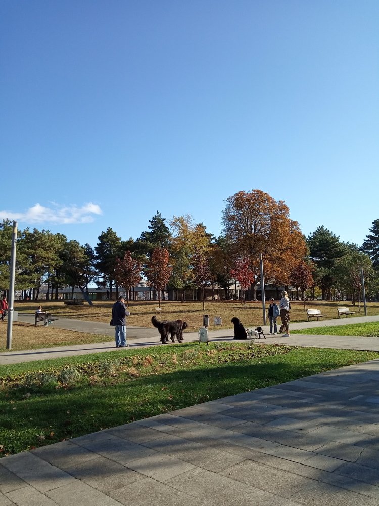 Photograph by Mladjan Kundacina