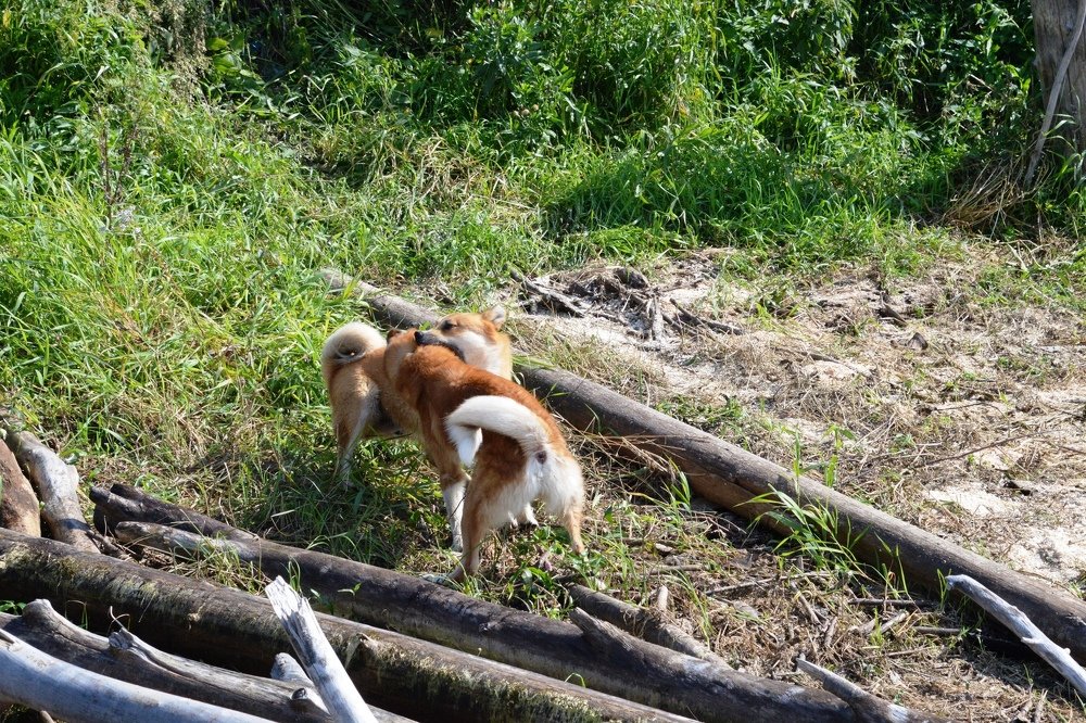 Photograph by Андрей Елькин