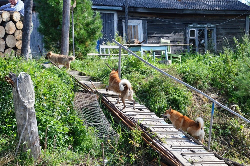 Photograph by Андрей Елькин