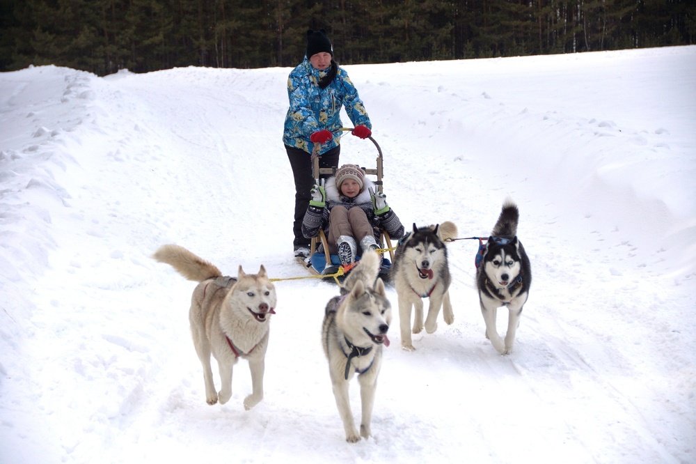 Photograph by Андрей Елькин