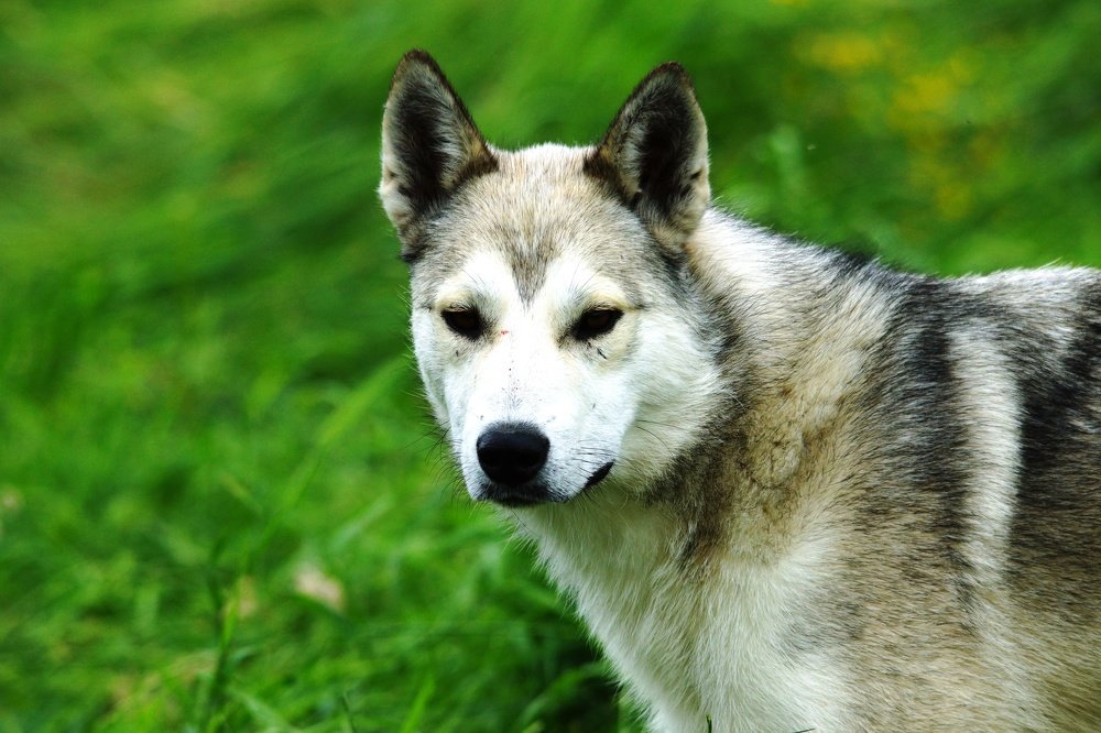 Photograph by Андрей Елькин