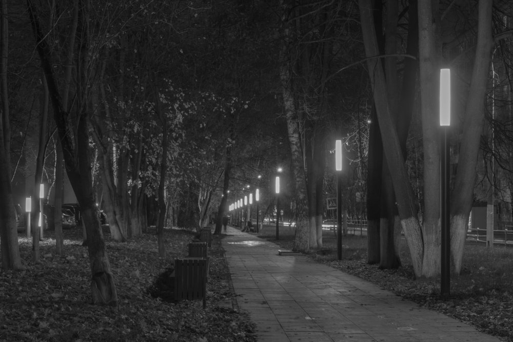 Photograph by Иван Кабалин