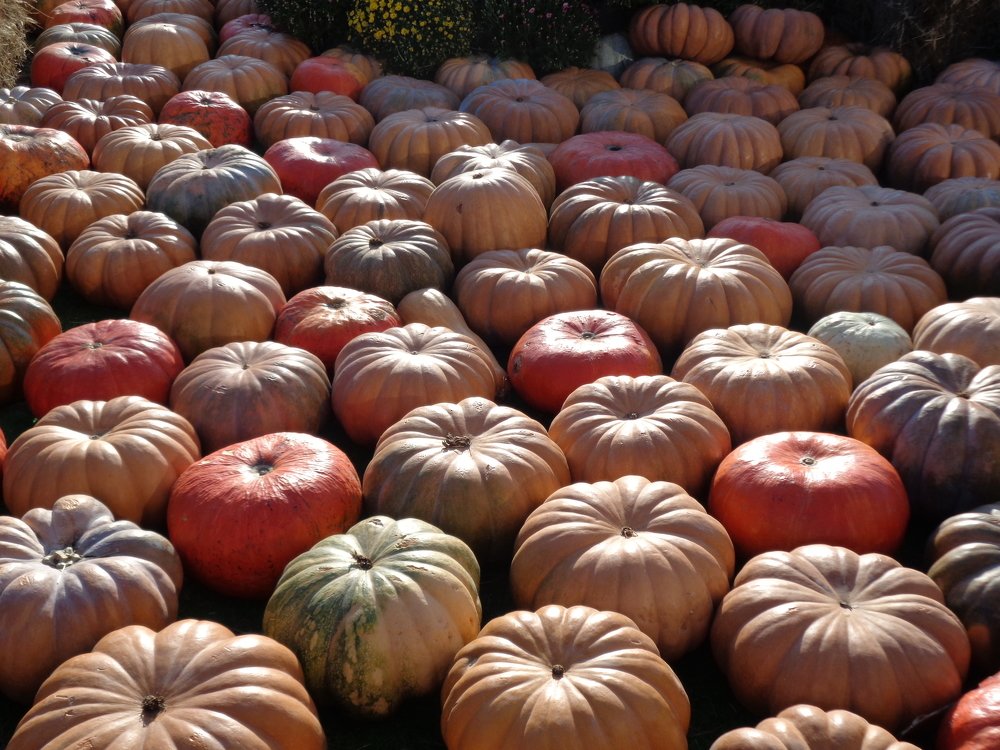 Photograph by Марина Осипова