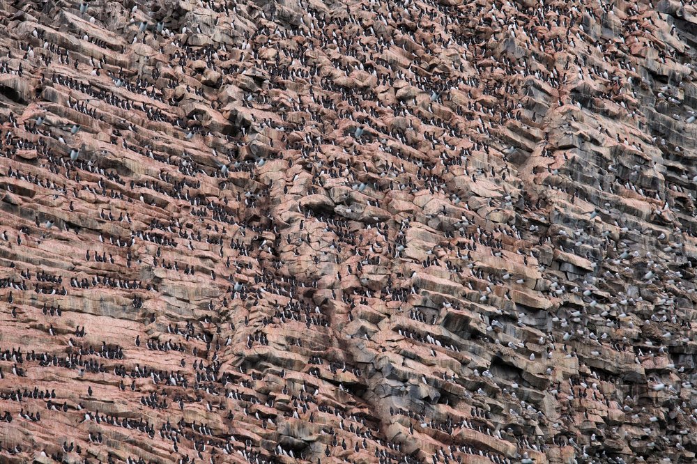 Photograph by Vladimir Melnik