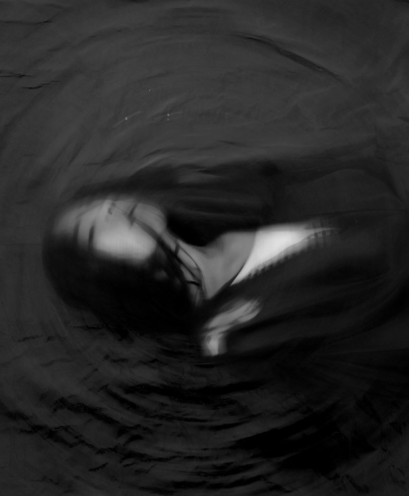 Photograph by Daniela Paulina Rendón