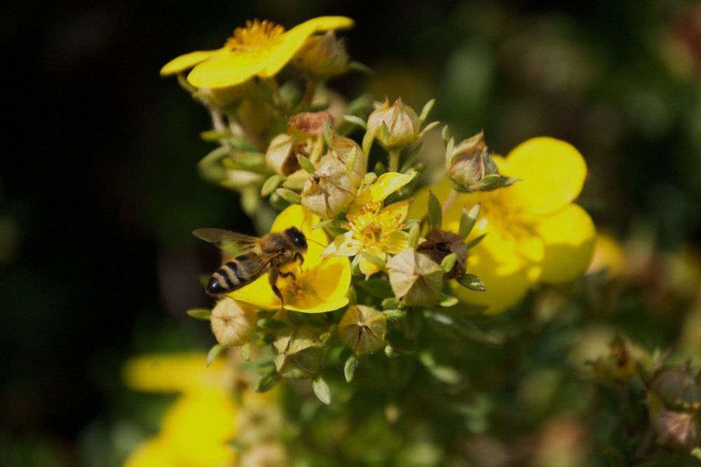 Photograph by Yroslava Veretina