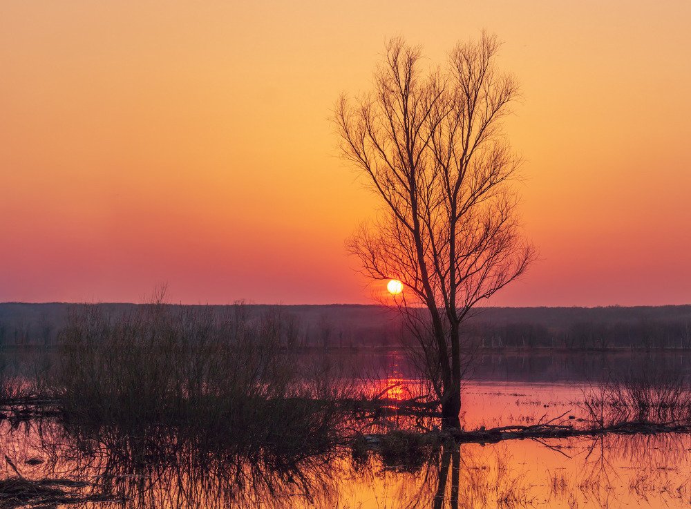 Фотография автора Валерий Лушин