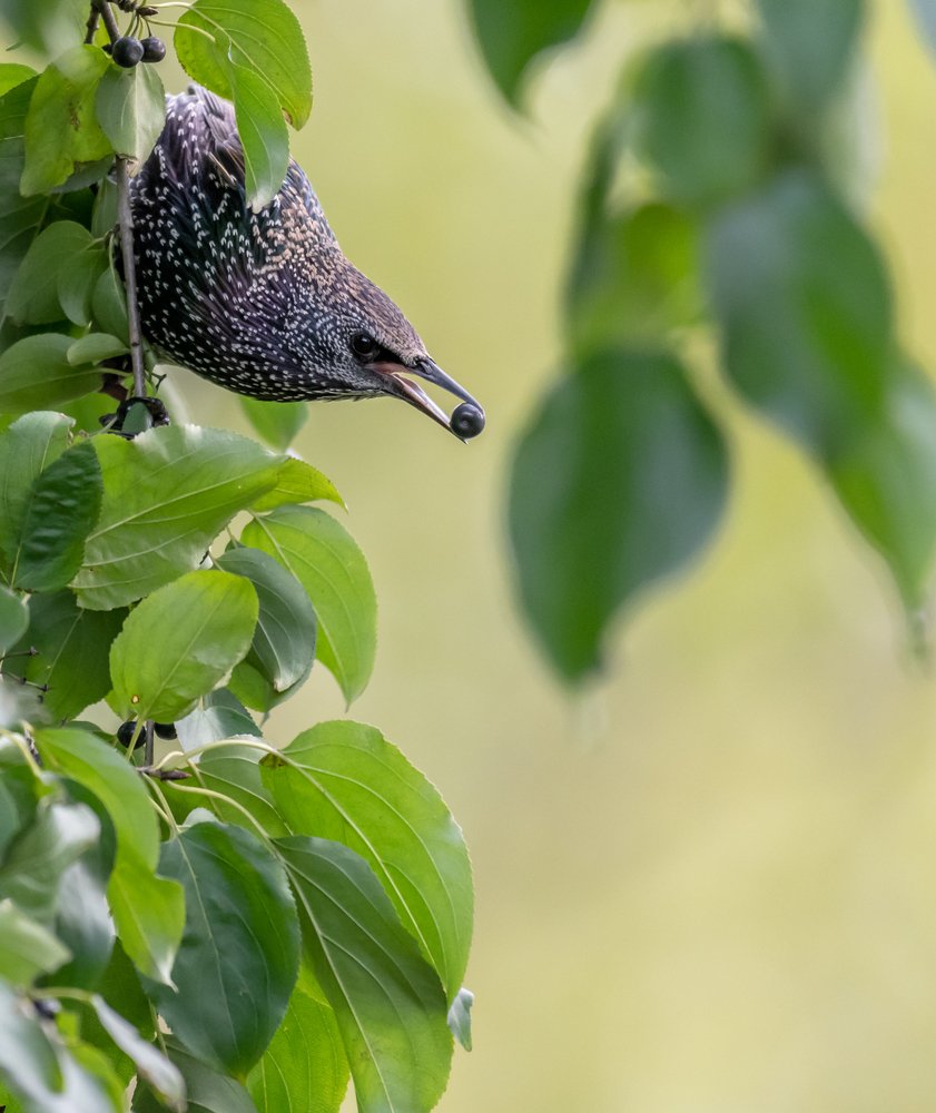 Photograph by Сергей Сыресин