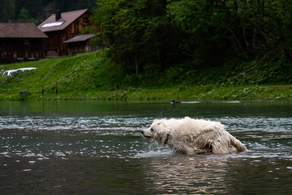 Photograph by ABHISHEK DEY