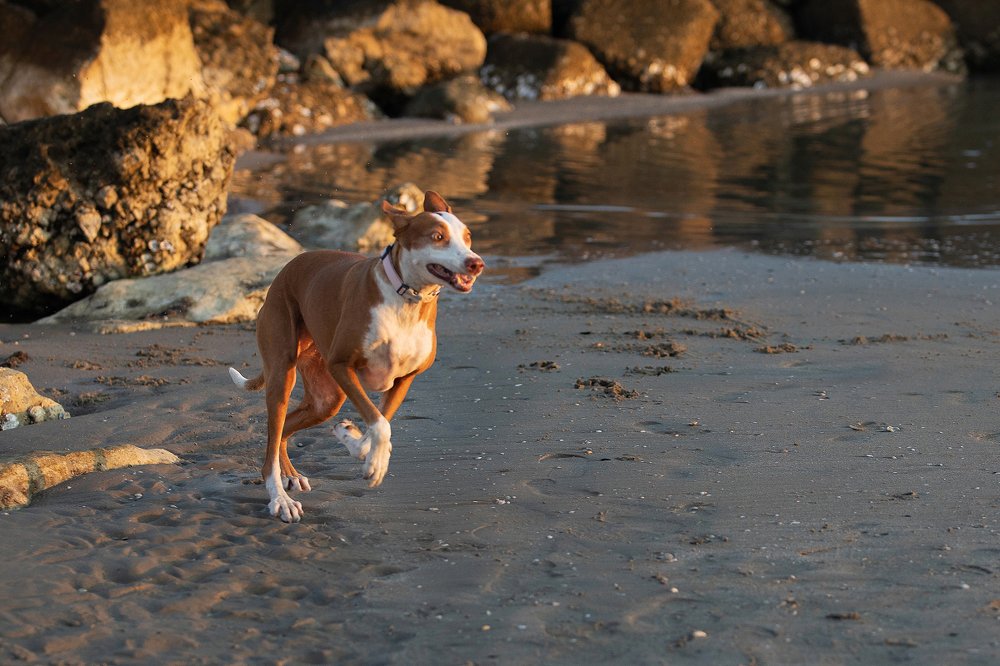 Photograph by Алла Чернова