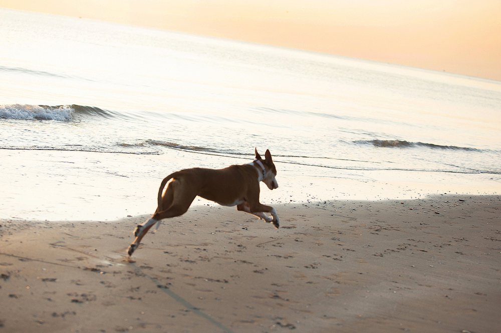 Photograph by Алла Чернова