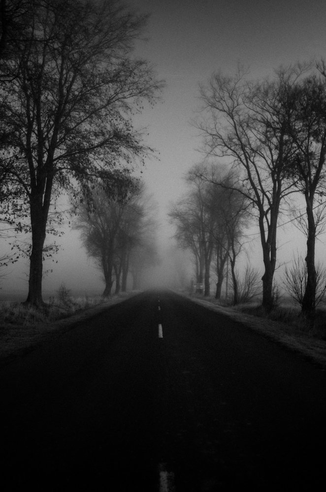 Photograph by Agnieszka Szadowiak