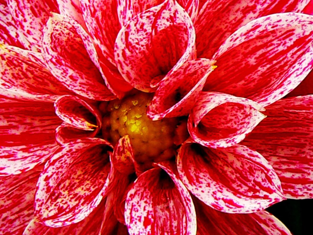 Photograph by Nora Keri