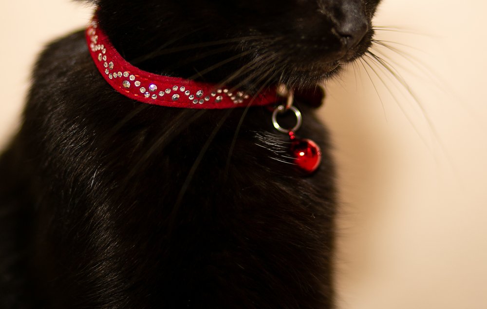 Украшения - для девочек