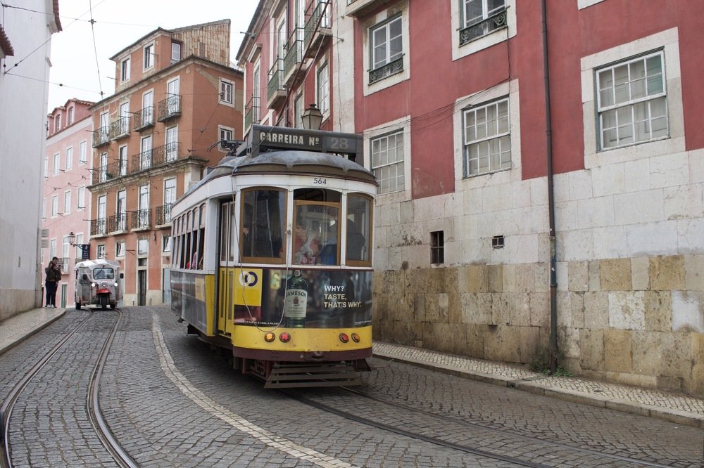 Photograph by Olga Pereira