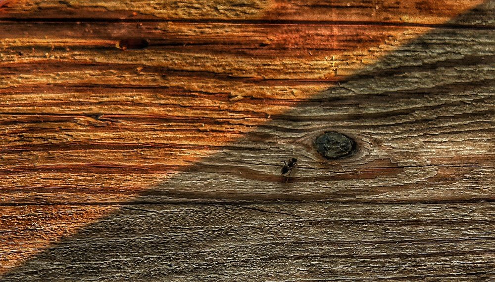 Photograph by Nora Keri