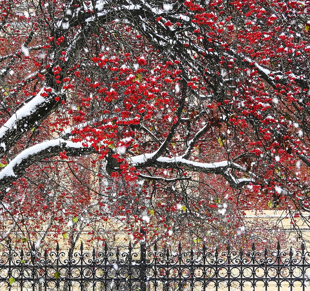 Photograph by Александр Скибицкий