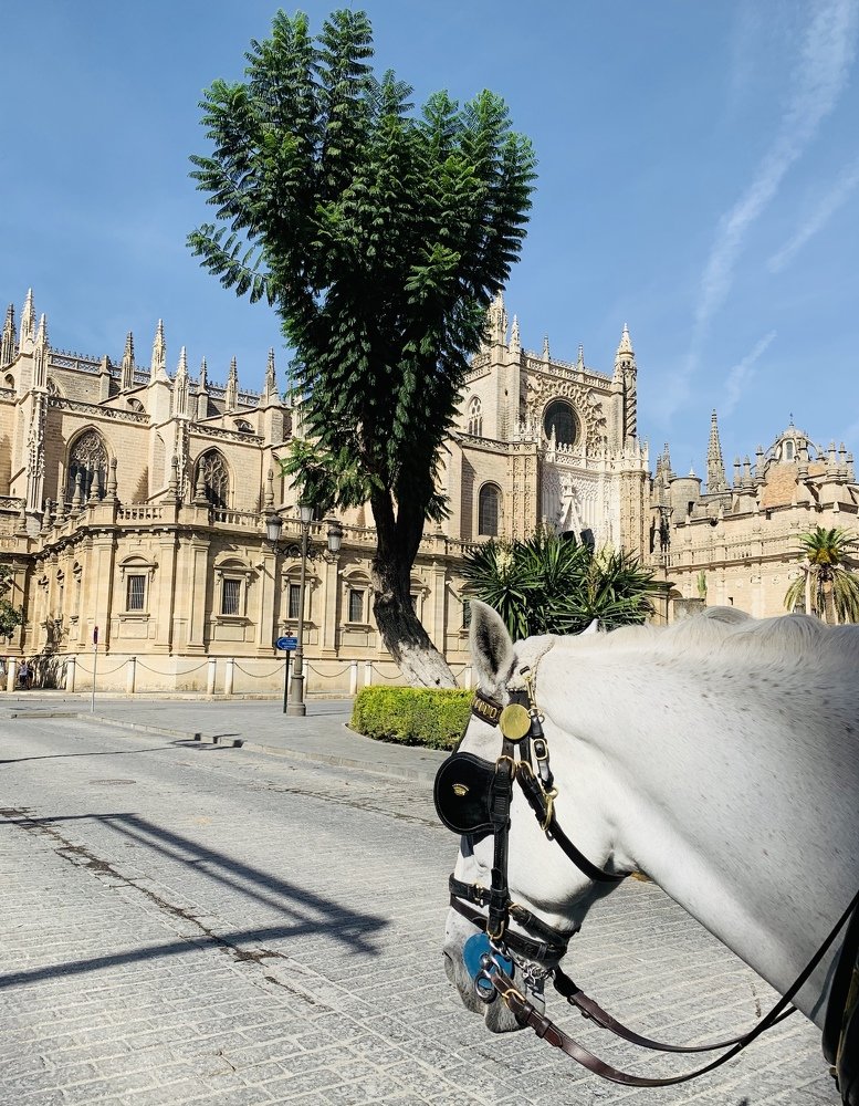 Photograph by Olga Pereira