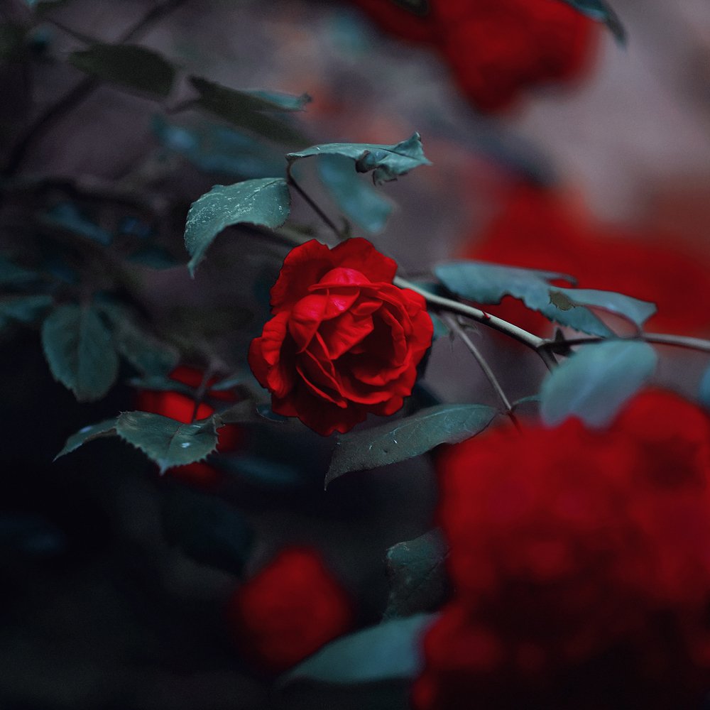 Photograph by Татьяна Калюжина