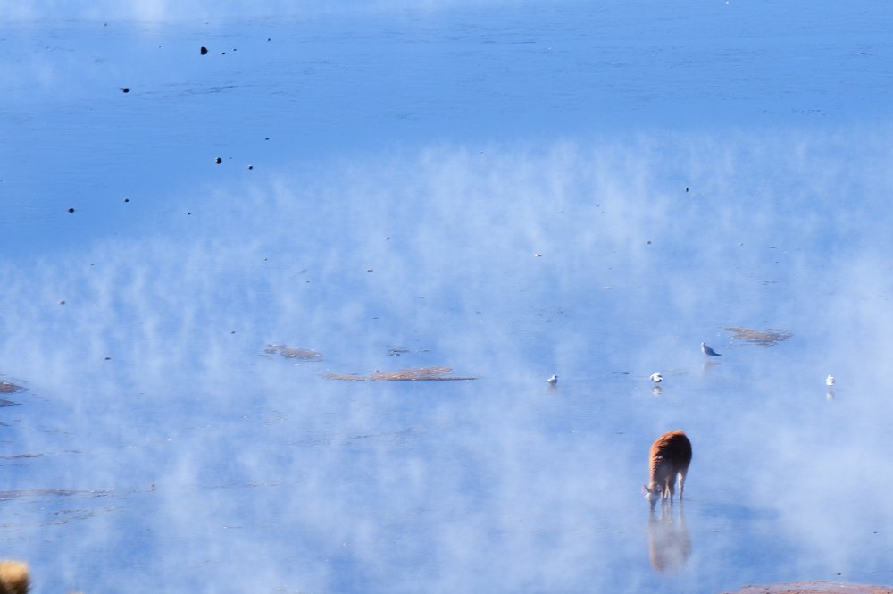 Photograph by Михаил Магид