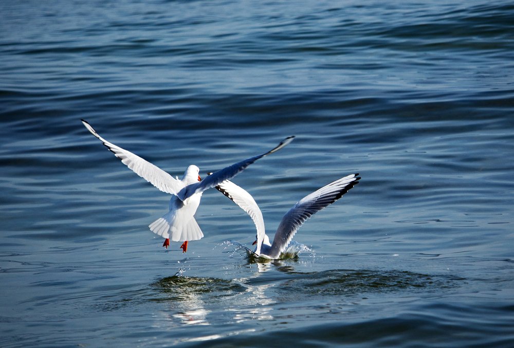 Photograph by Wojciech Grzegorczyk