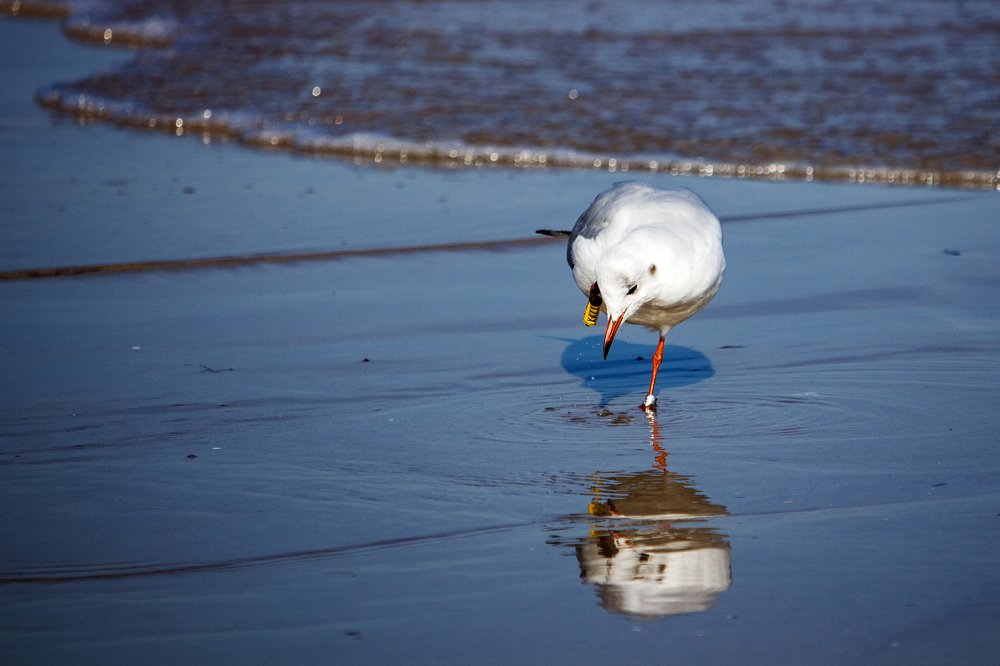 Photograph by Wojciech Grzegorczyk