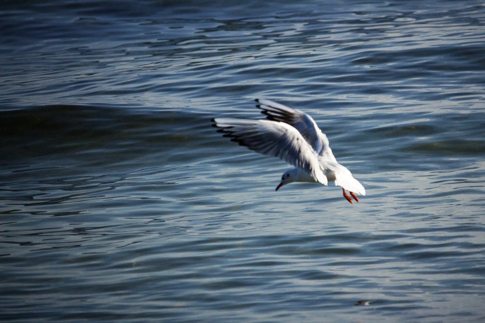 Photograph by Wojciech Grzegorczyk