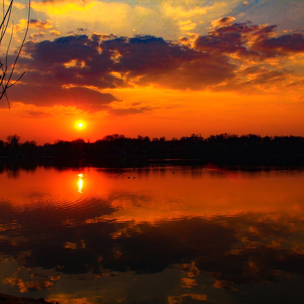 Photograph by Алена Кузнецова