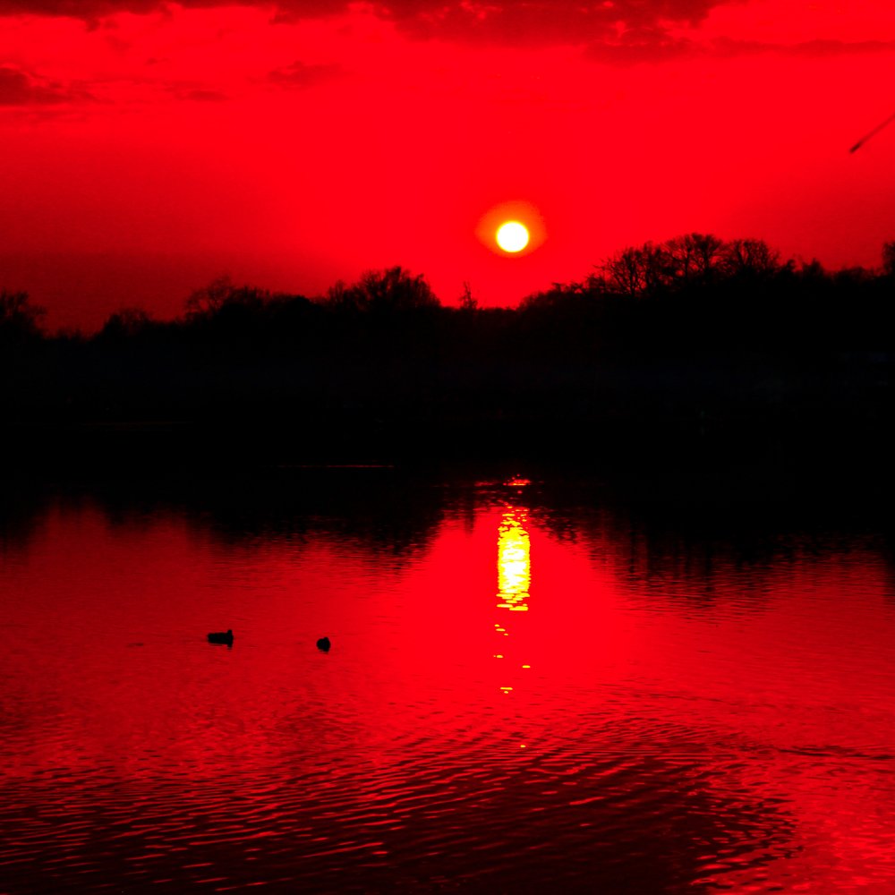 Photograph by Алена Кузнецова