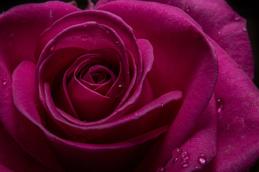 Photograph by Антон Журавлев