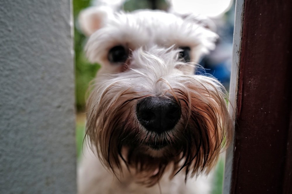 Фотография автора Денис Винарь