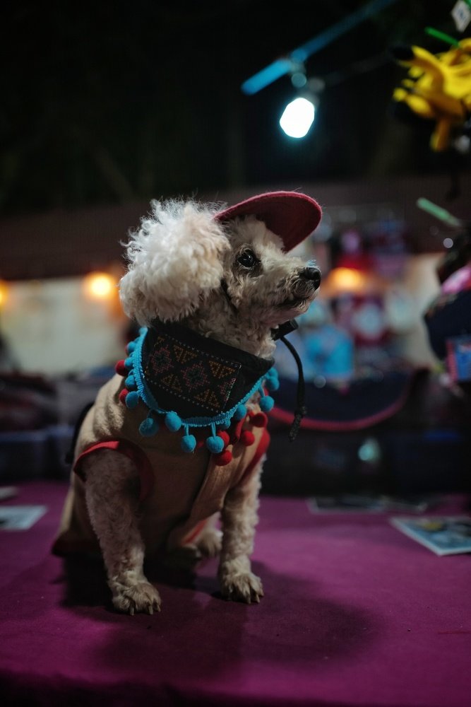 Фотография автора Денис Винарь