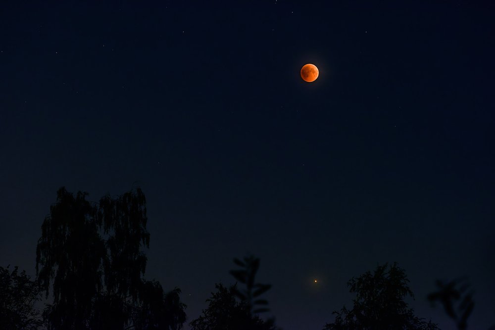 Фотография автора Владислав Храмцов