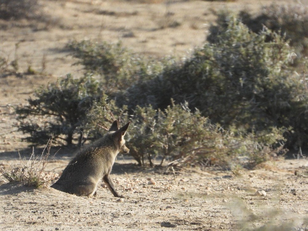 Photograph by Марина Осипова