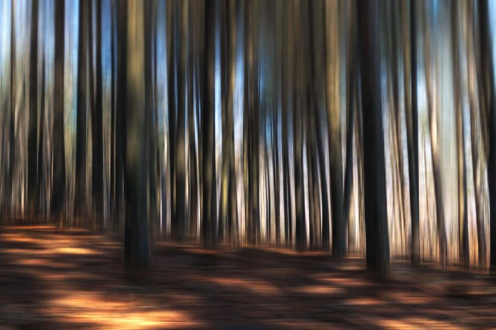 Photograph by Алексей Николаев