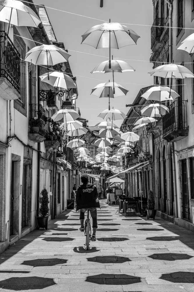 Umbrella Street