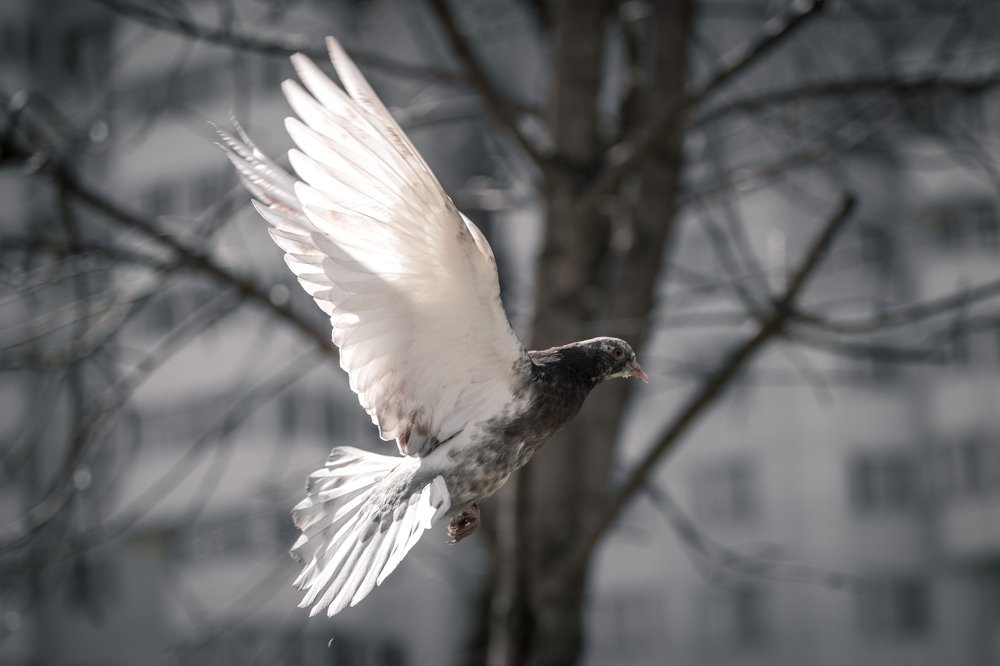 Фотография автора Денис Винарь