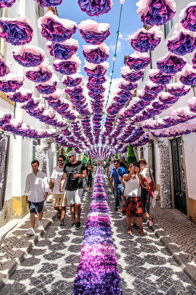 In the shade of the flowers