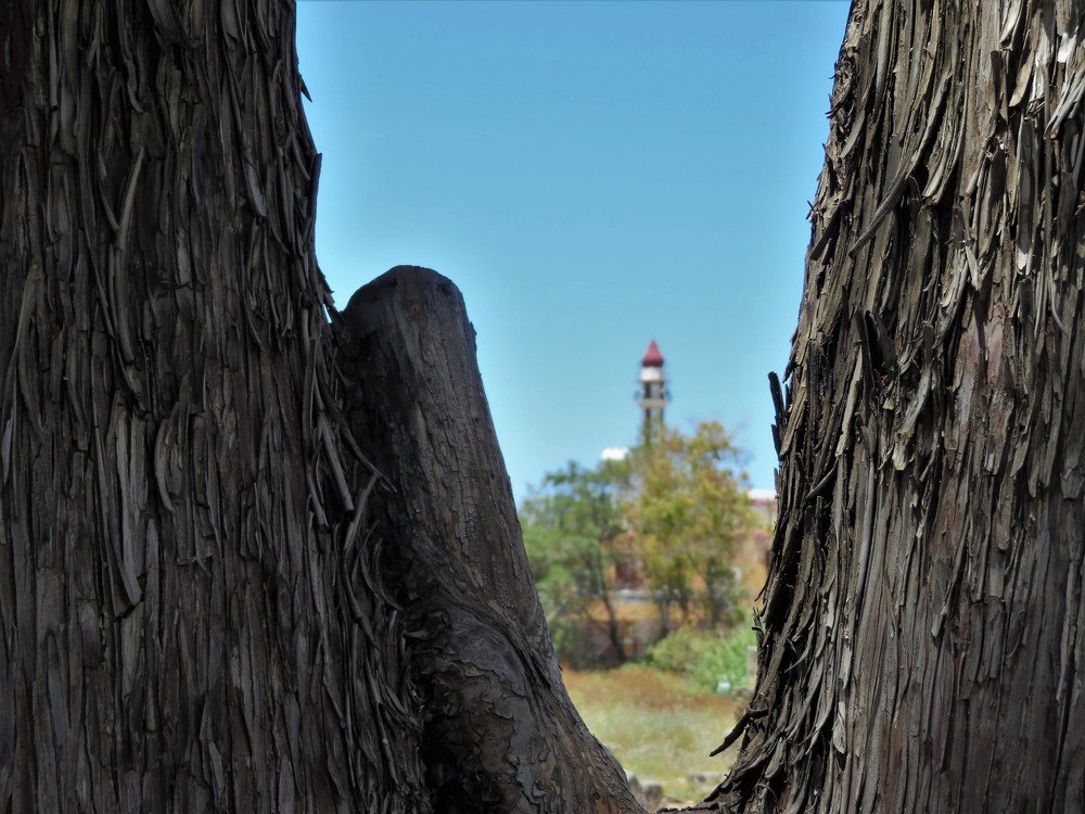 Photograph by Isabel Moreira