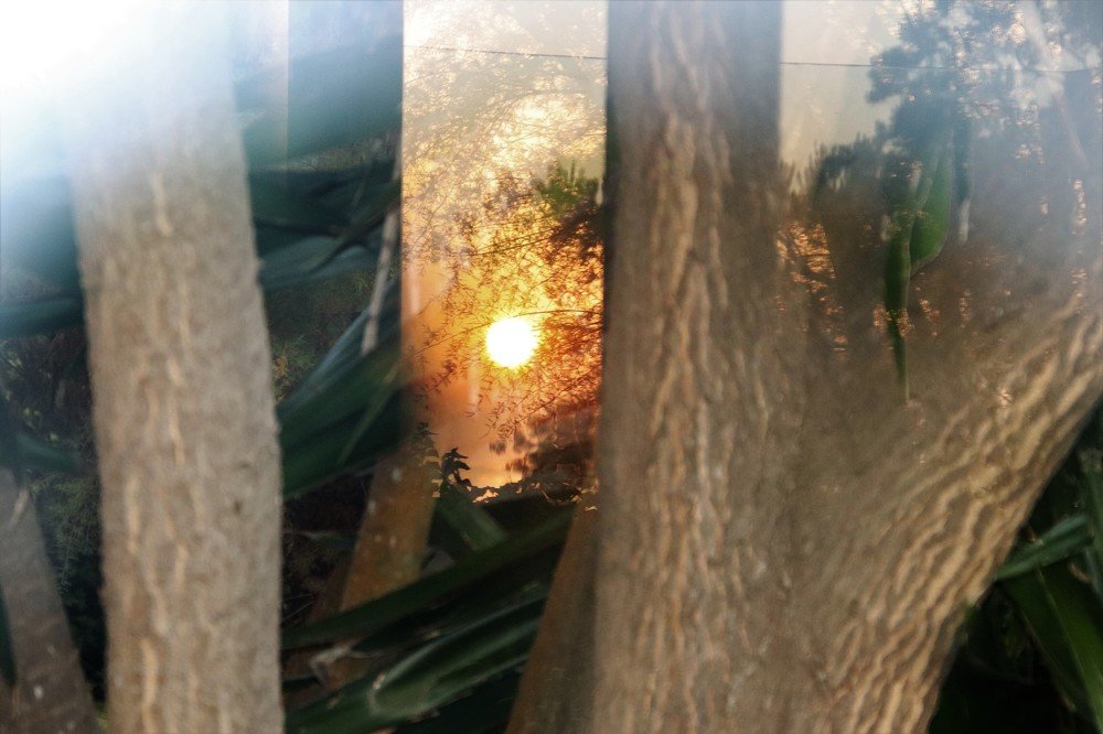 Photograph by Isabel Moreira