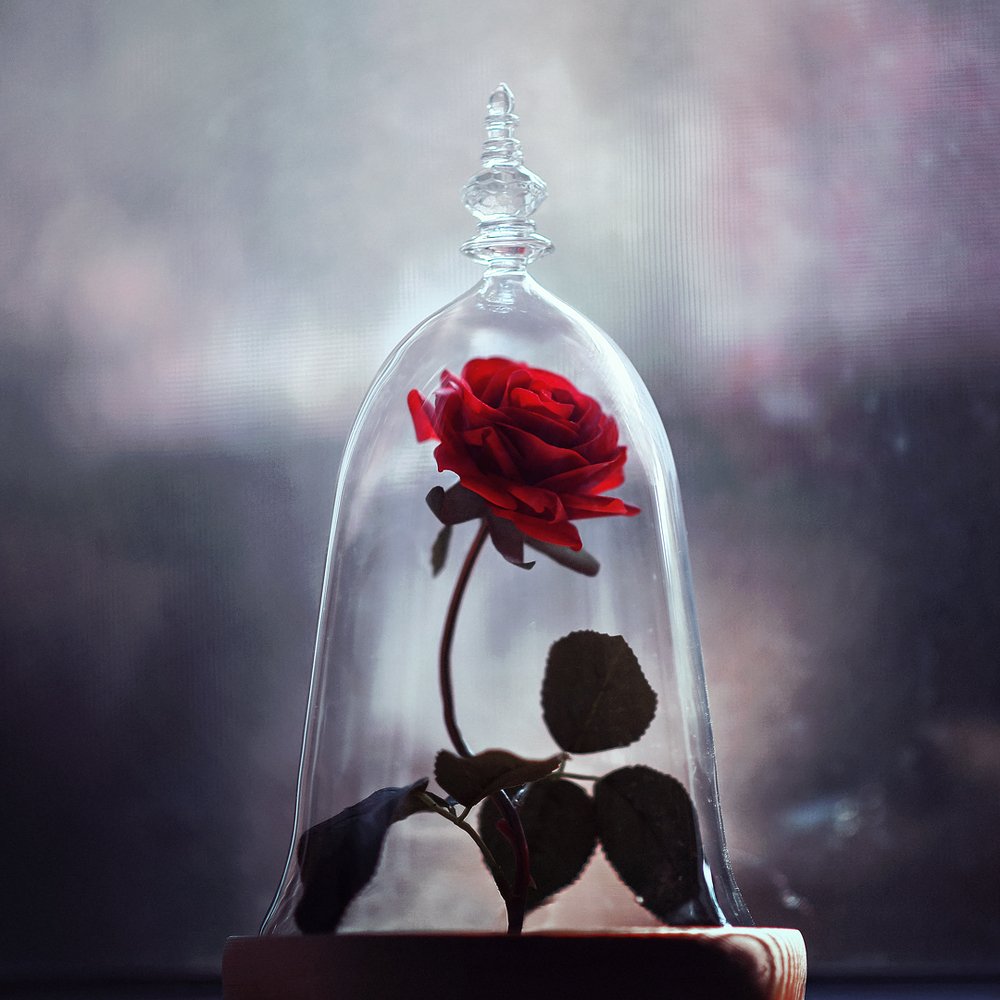 Photograph by Татьяна Калюжина