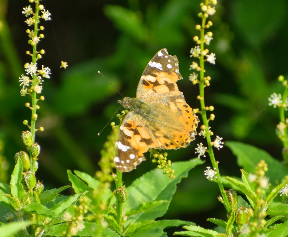 Photograph by Ragu Varan