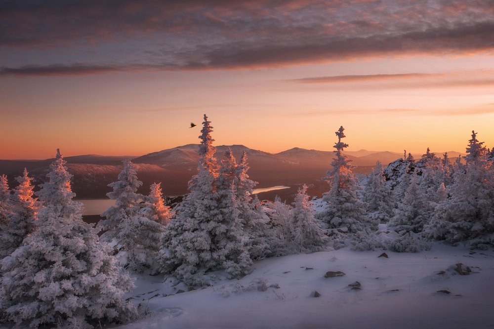 Photograph by Татьяна Бирюкова